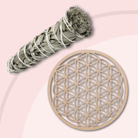 Purification et Rechargement