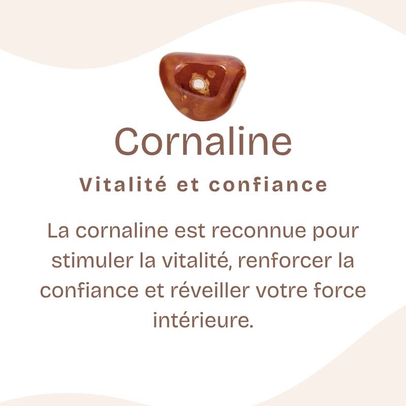 Boucles d'oreilles "Ancrage Doux" en Cornaline Goutte (Argent 925)