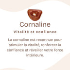 Boucles d'oreilles "Ancrage Doux" en Cornaline (Argent 925)