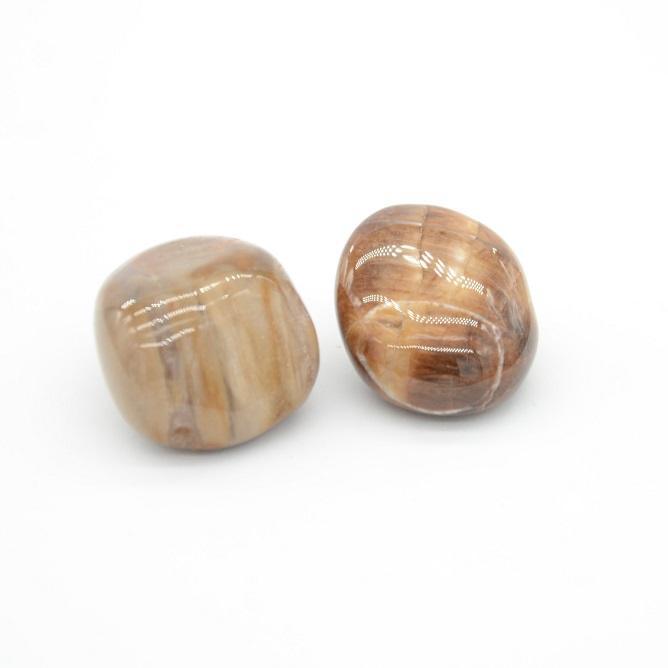 Pierre roulée "Lacher Prise" en Bois Fossile (Lot de 35-40g) - lespierresdubienetre